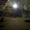 2016/04/01_夜の上野公園 擂鉢山
