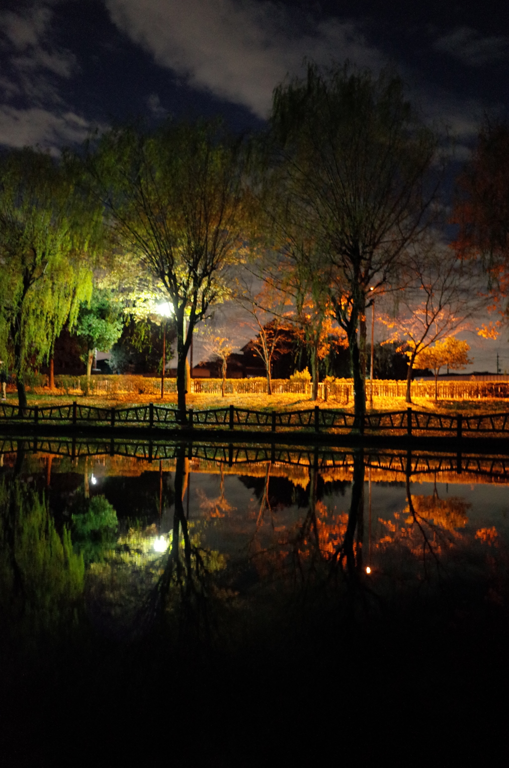 2014/12/06_夜の北本総合公園