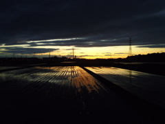 2017/06/04_水田の夕暮れ