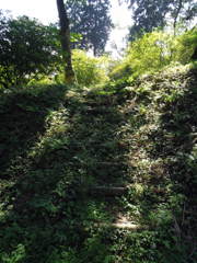 2017/09/10_木漏れ日