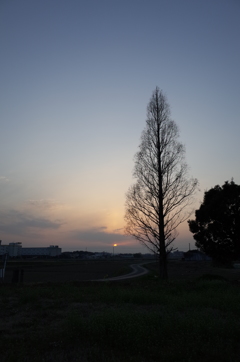 2015/03/21_夕暮れ