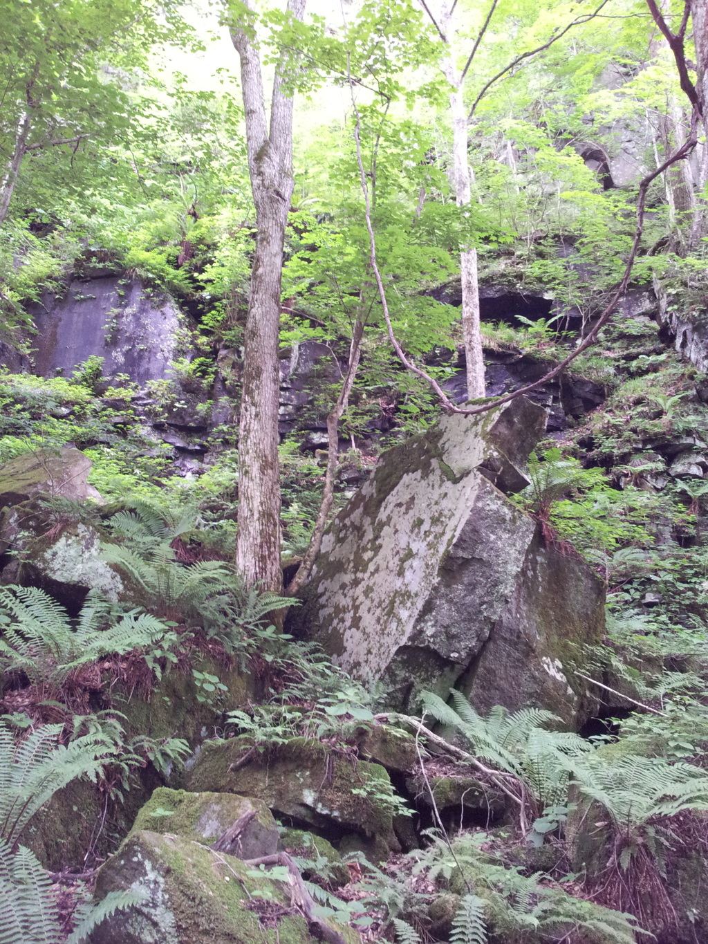 2018/07/16_奥入瀬渓流沿いの巨石