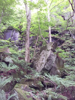 2018/07/16_奥入瀬渓流沿いの巨石