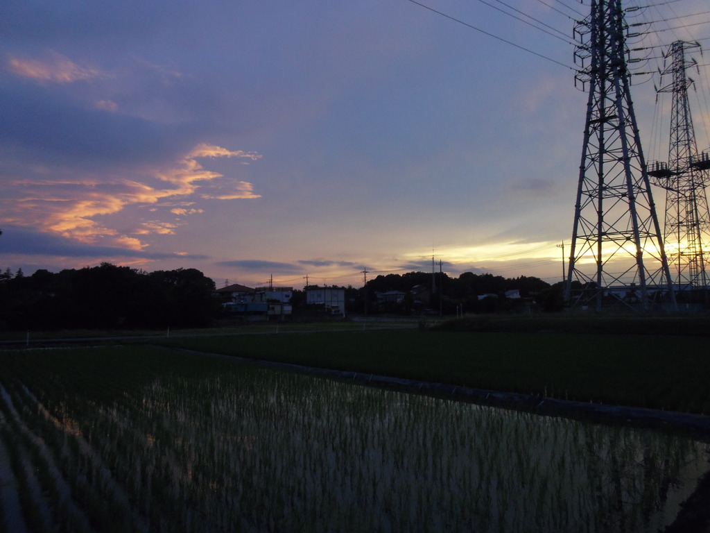 2017/06/25_水田の夕暮れ