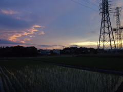 2017/06/25_水田の夕暮れ