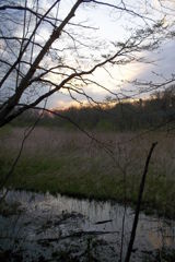 2016/03/26_北本自然観察公園