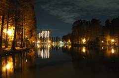 2014/12/07_夕暮れの別所沼公園