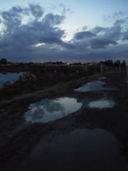 2016/11/26_水溜まりの夕暮れ