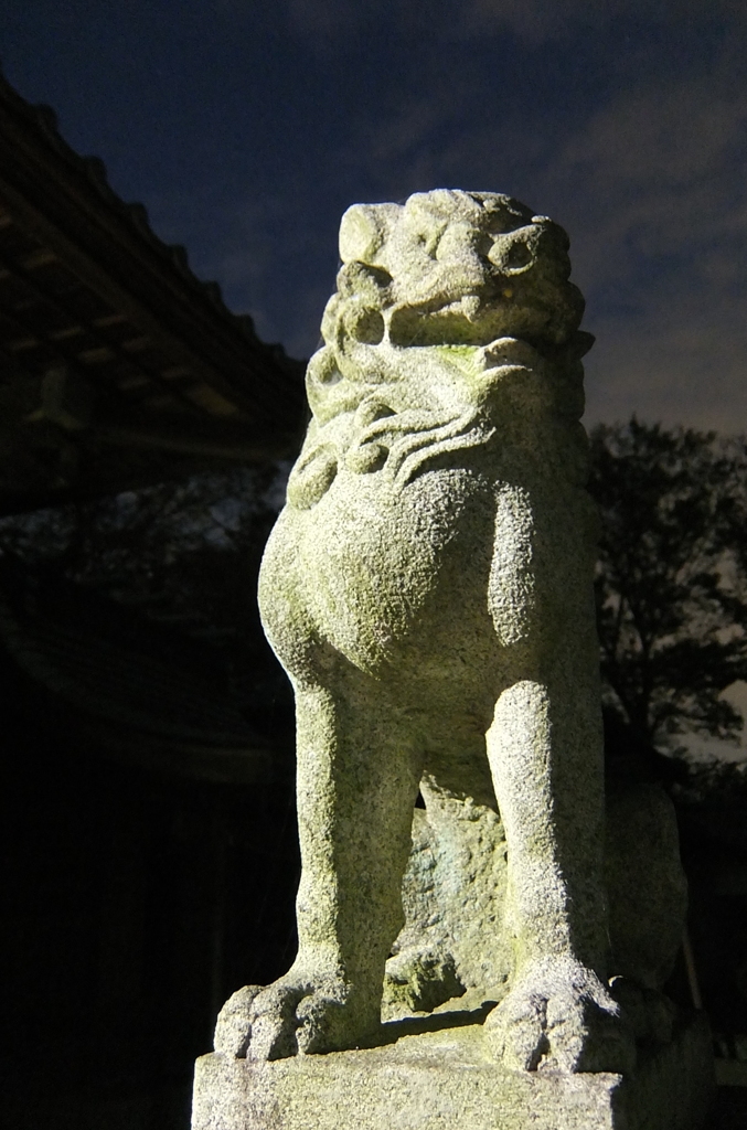 2014/11/23_夕暮れの氷川神社狛犬（阿）