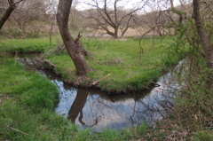2016/03/26_北本自然観察公園