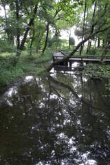 2015/07/05_伊奈町制施行記念公園