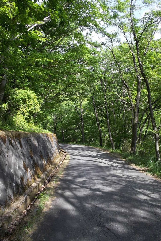 2015/05/04_林道