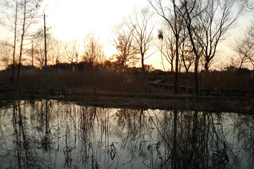 2015/02/11_ホタルの里