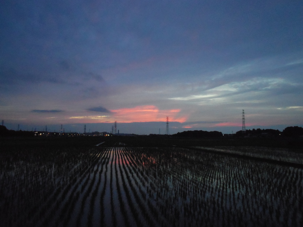 2017/06/25_水田の夕暮れ