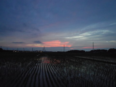 2017/06/25_水田の夕暮れ