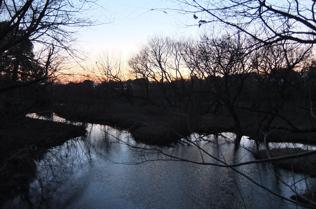 2015/02/15_夕暮れの秋葉の森総合公園
