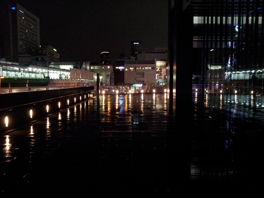 2014/11/26_夜、雨上がりの秋葉原