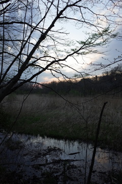 2016/03/26_北本自然観察公園