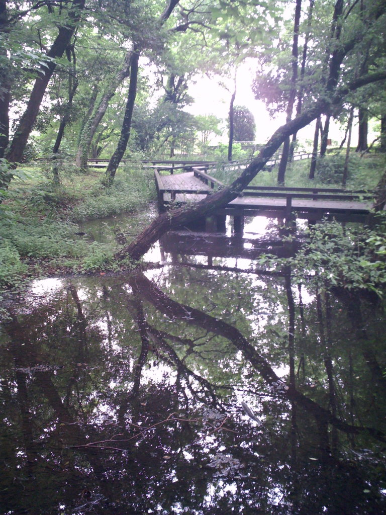 2015/07/05_伊奈町制施行記念公園