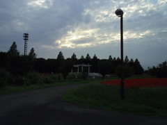 2016/09/11_花の丘農林公苑の夕暮れ