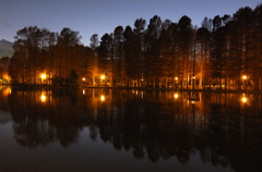 2014/12/14_夕暮れの別所沼公園