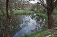 2016/03/26_北本自然観察公園