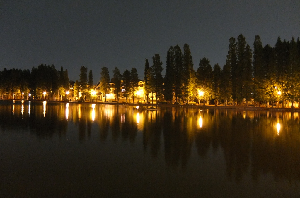 2014/05/24_夜の別所沼公園