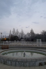 2016/02/13_夕暮れの伊奈町制施行記念公園