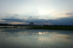 2015/06/21_水田の夕暮れ