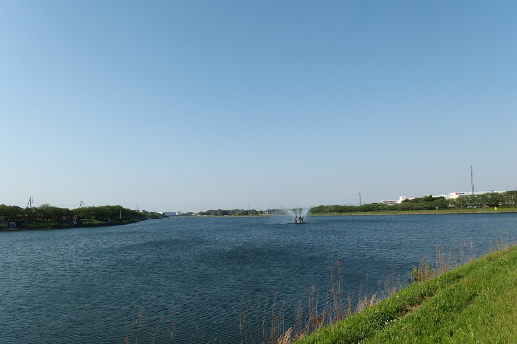 2015/04/26_権現堂川（行幸湖）