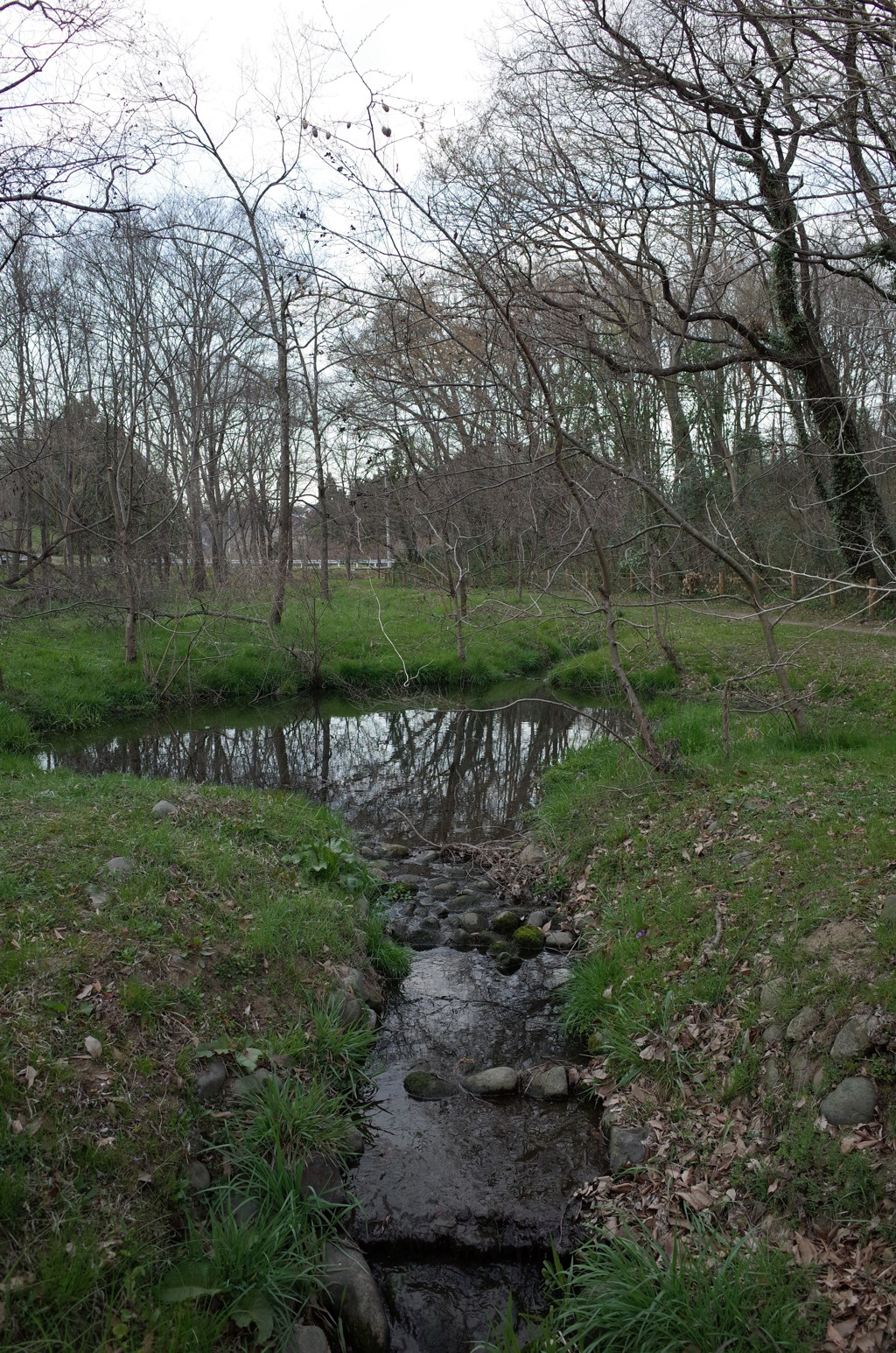 2016/03/26_北本自然観察公園