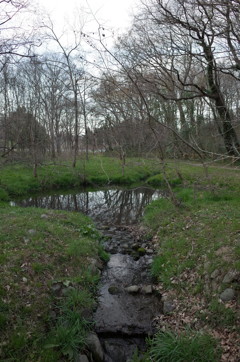 2016/03/26_北本自然観察公園