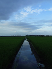 2017/08/12_用水路に雲