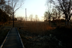 2015/02/11_ホタルの里