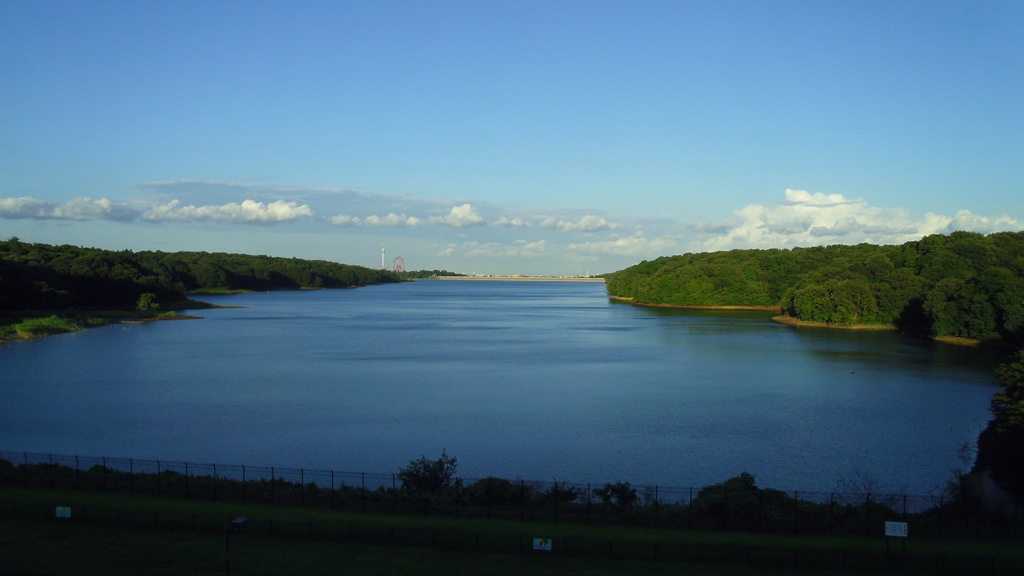 2012/08/19_多摩湖