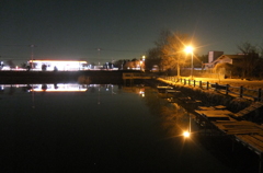 2015/01/24_夜の弁天沼