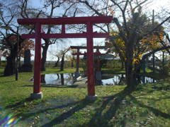 2016/11/14_十和田神社