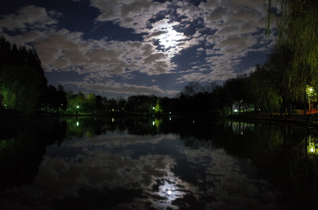 2014/12/06_月夜の北本総合公園