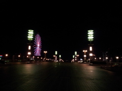2014/01/01_夜の夢の大橋とパレットタウン大観覧車