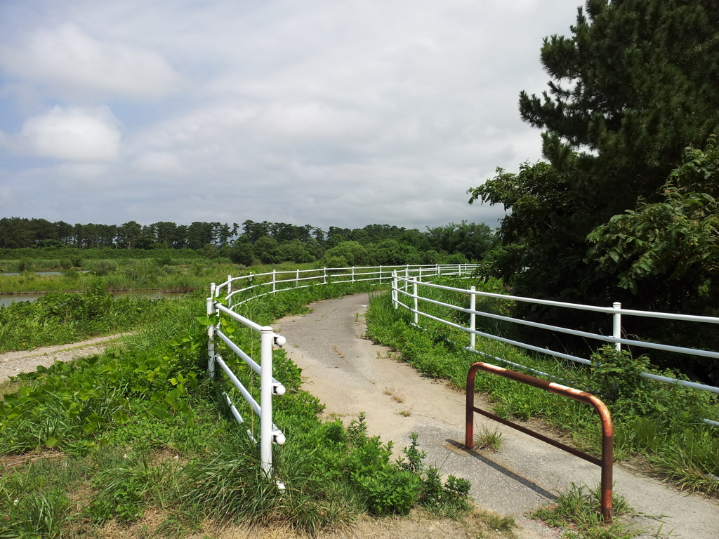 2017/08/11_布施川・片貝川の南側の道