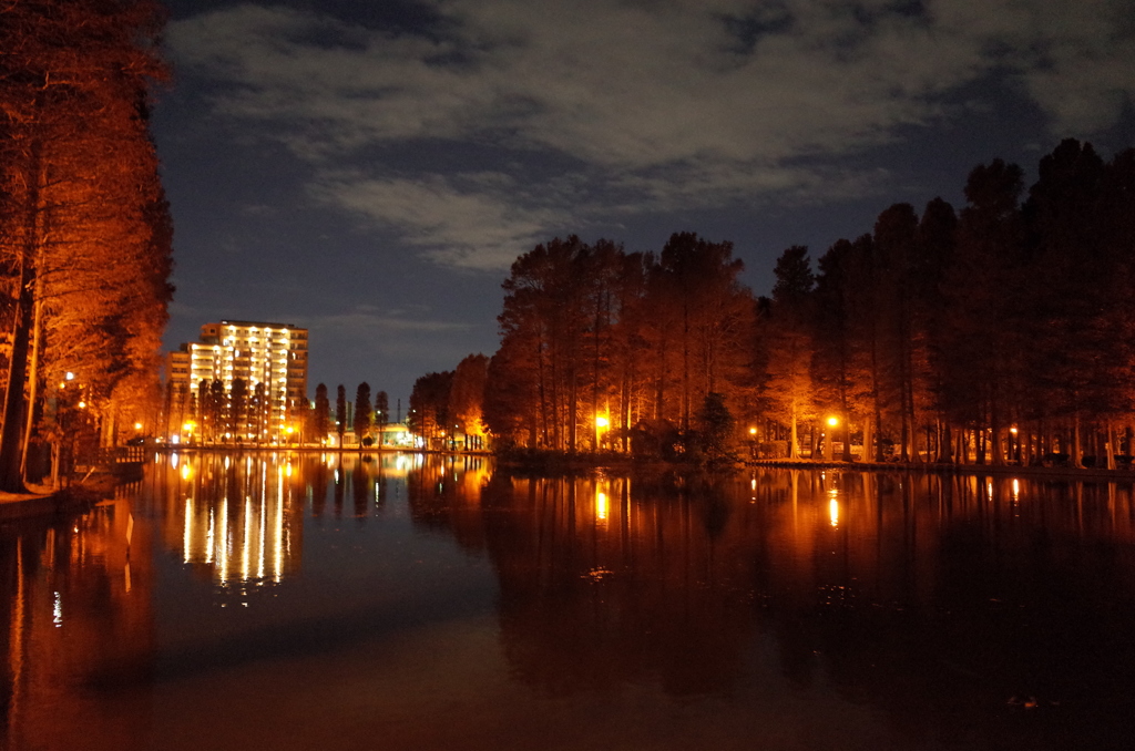 2014/12/07_夕暮れの別所沼公園