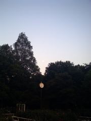 2016/06/18_夕暮れの伊奈バラ園に月