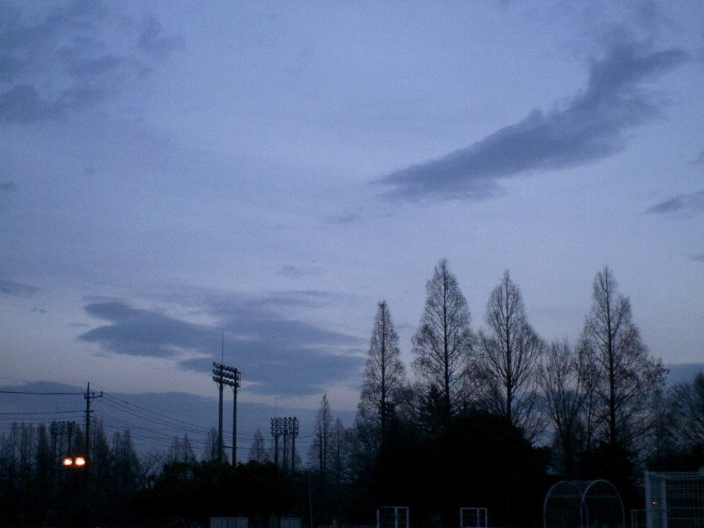 2016/02/13_伊奈町制施行記念公園の夕暮れ