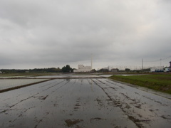2017/05/27_水田の曇天と伊奈町クリーンセンター