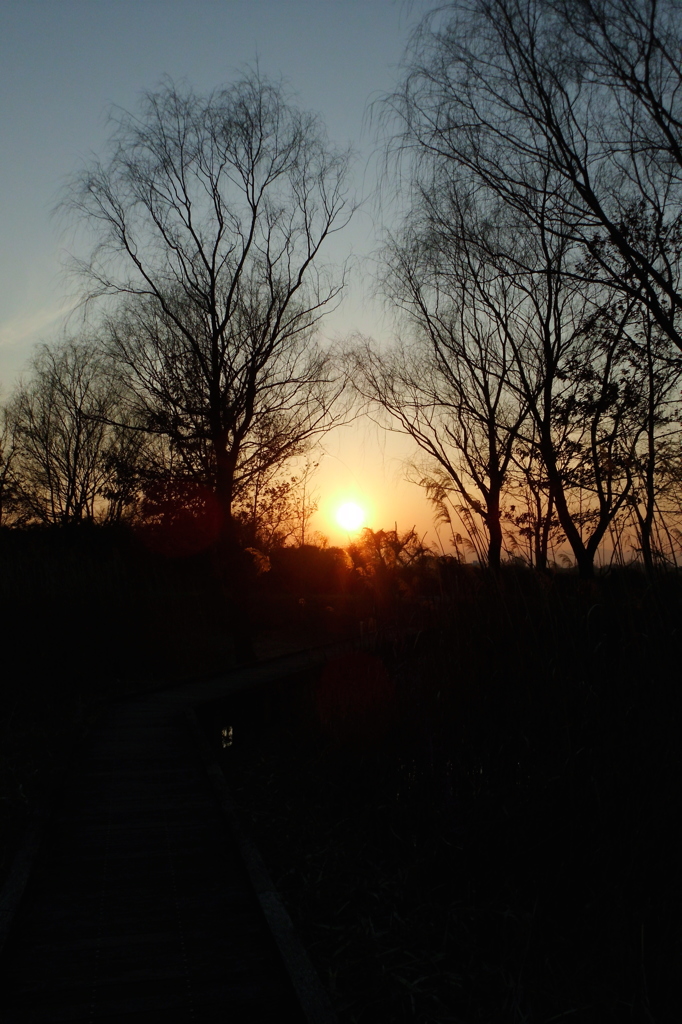 2015/02/11_ホタルの里