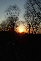 2015/02/11_ホタルの里