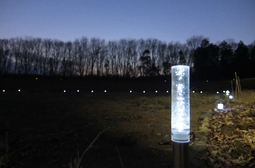 2014/01/18_夕暮れの木とソーラーライト