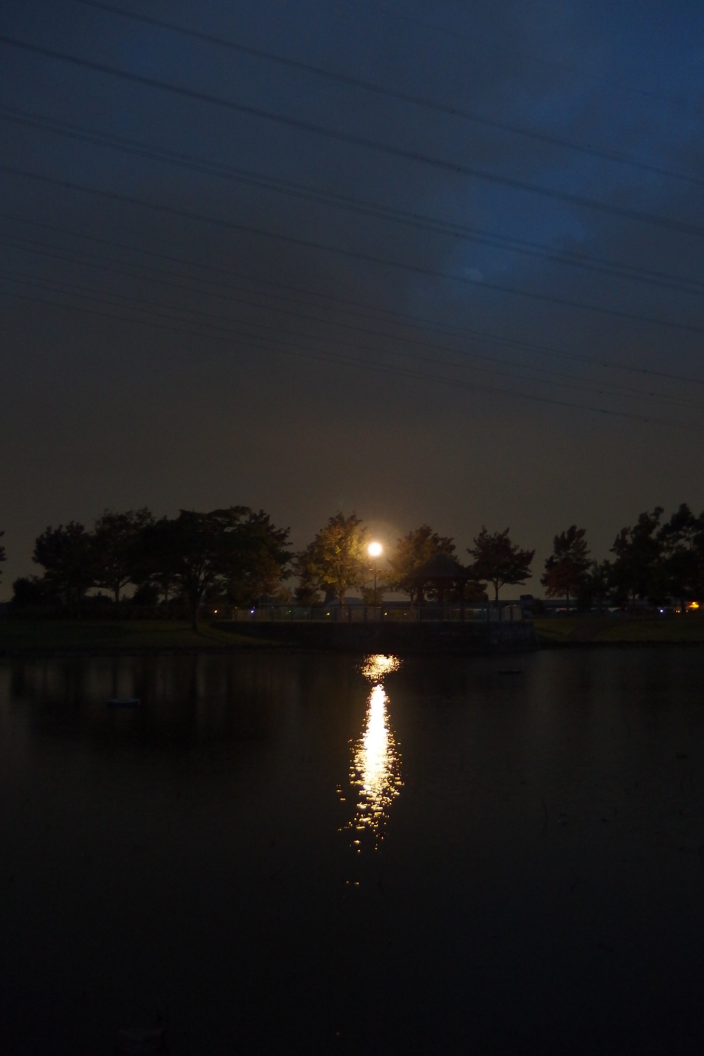 2015/10/04_夕暮れの平成の森公園