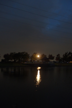2015/10/04_夕暮れの平成の森公園