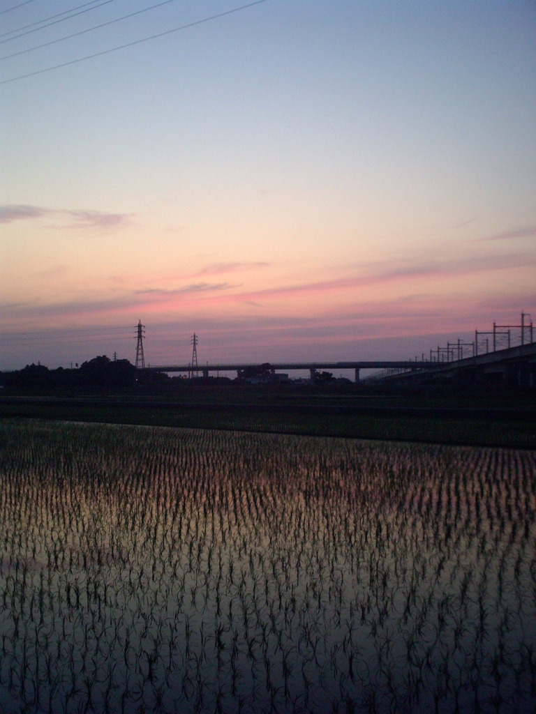 2016/06/18_水田の夕暮れ